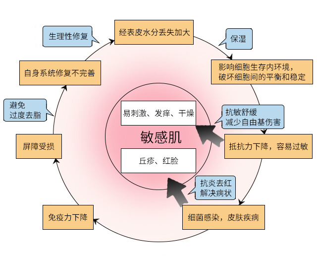 皮膚屏障受損什么意思 什么原因?qū)е缕つw屏障受損