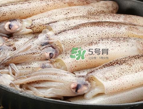 筆管魚是什么魚？筆管魚怎么吃