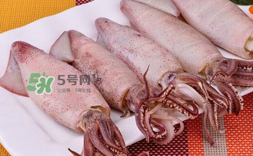 筆管魚怎么做好吃？筆管魚有什么營養(yǎng)