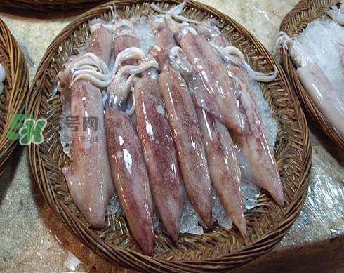 新鮮魷魚怎么保存？魷魚可以冷凍嗎