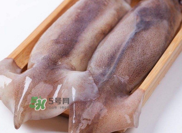 新鮮魷魚怎么保存？魷魚可以冷凍嗎