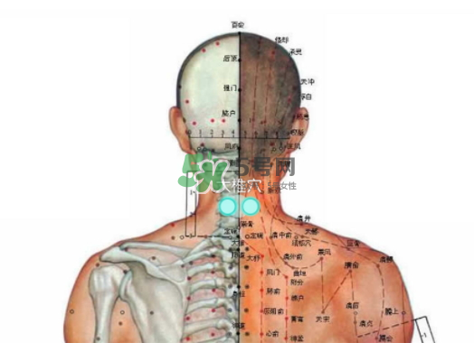 碧緹福護(hù)頸儀多少錢？碧緹福護(hù)頸儀價(jià)格