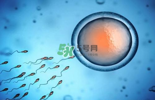 精子在女性體內(nèi)可以存活多久？男性的精子會枯竭嗎？