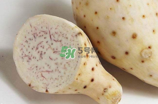 香芋沒(méi)熟能吃嗎？香芋沒(méi)熟吃了會(huì)怎么樣