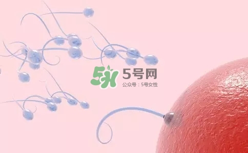 精子在女性體內(nèi)可以存活多久？男性的精子會枯竭嗎？