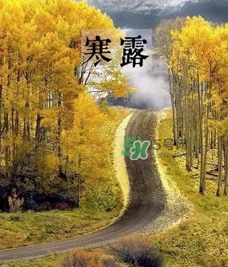 白露是寒露嗎？白露和寒露的區(qū)別