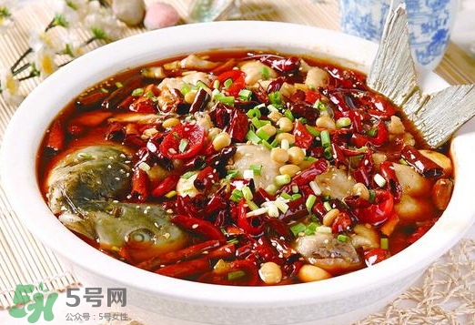 鯉魚(yú)可以做水煮魚(yú)嗎？水煮鯉魚(yú)的做法