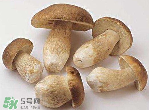 牛肝菌要泡發(fā)多久？牛肝菌怎么清洗