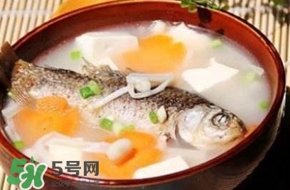 鯽魚(yú)湯的做法孕婦喝 孕婦鯽魚(yú)湯做法大全