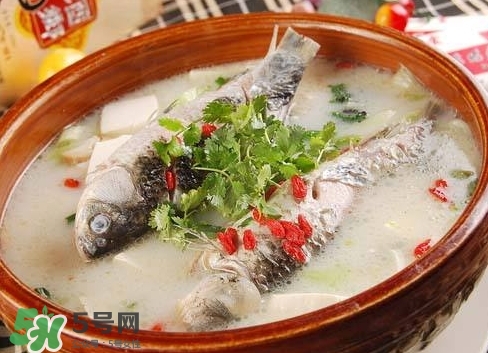 鯽魚(yú)湯的做法孕婦喝 孕婦鯽魚(yú)湯做法大全