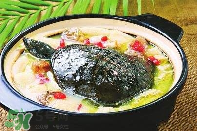 甲魚(yú)湯下奶嗎？下奶的食物有哪些？