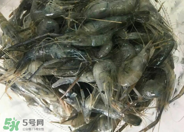 河蝦是基圍蝦嗎？河蝦是辛辣食物嗎？