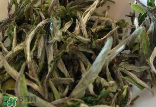 白茶需要洗茶嗎？白茶是洗還是不洗？