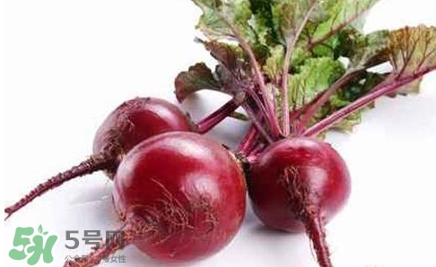 甜菜根是蘿卜嗎？甜菜根是什么菜