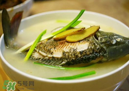 鯉魚湯怎么做好吃？鯉魚湯里面可以放什么？