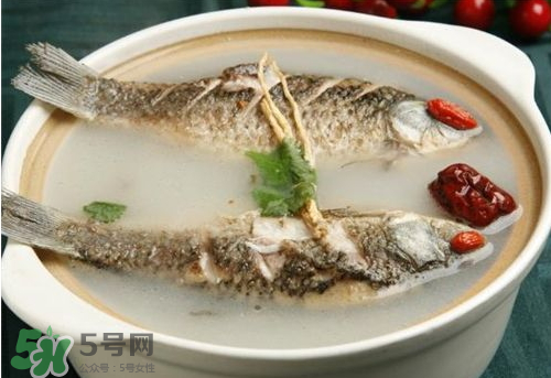 鯽魚湯下奶嗎？鯽魚湯的功效與作用