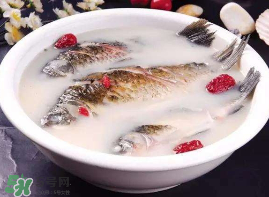 鯽魚湯里可以放什么菜最好？鯽魚燉湯放什么菜？