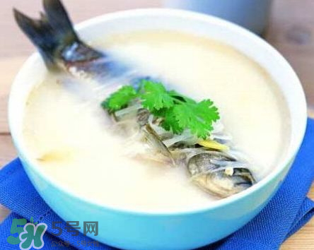 鯽魚湯可以放牛奶嗎？牛奶鯽魚湯的做法