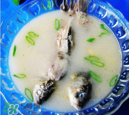 鯽魚湯可以放牛奶嗎？牛奶鯽魚湯的做法