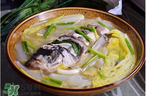 鰱魚湯怎么熬湯？鰱魚湯的功效與作用