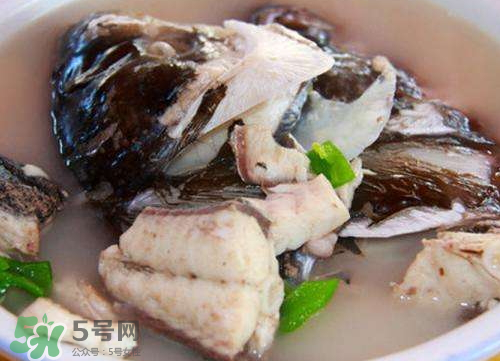 鰱魚湯怎么熬湯？鰱魚湯的功效與作用