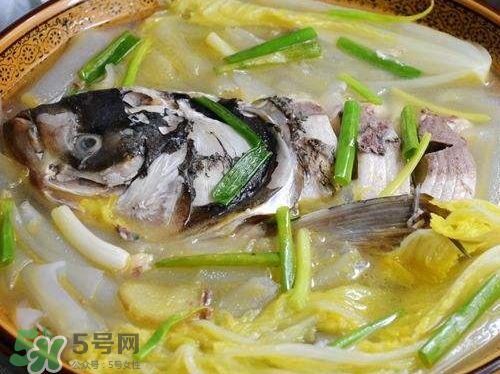 鰱魚湯怎么熬湯？鰱魚湯的功效與作用