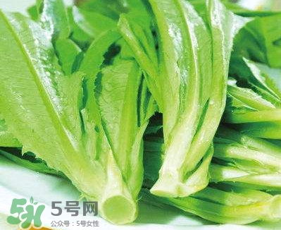 萵苣葉能吃嗎？萵苣葉和油麥菜有什么區(qū)別