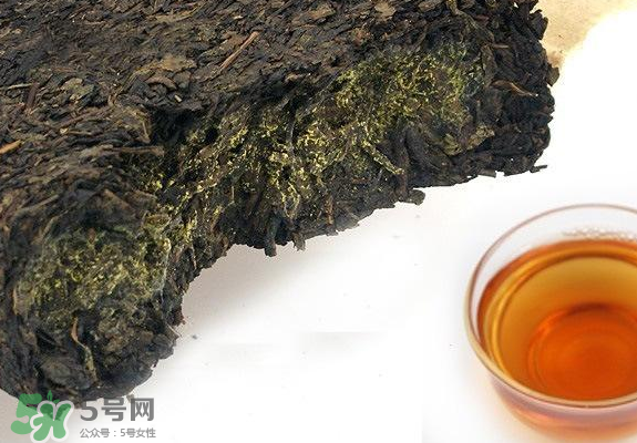 茯茶是熱性還是涼性？茯茶是不是放越久越好？