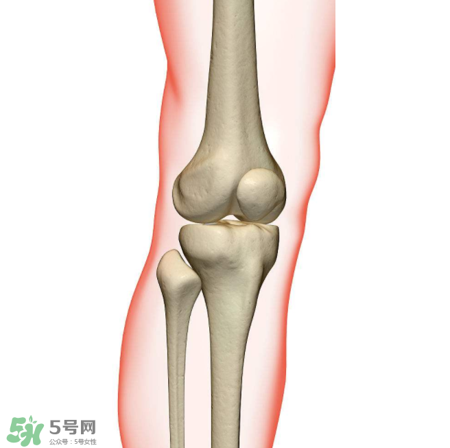 風(fēng)濕不治療可以治愈嗎？早期風(fēng)濕能自愈嗎？