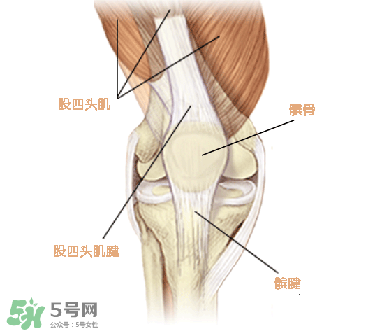 風(fēng)濕可以吃螃蟹嗎？得了風(fēng)濕能吃螃蟹嗎？