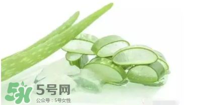 蘆薈怎么吃？蘆薈番茄湯的做法 