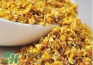 桂花茶怎么泡？桂花茶泡水喝的禁忌 