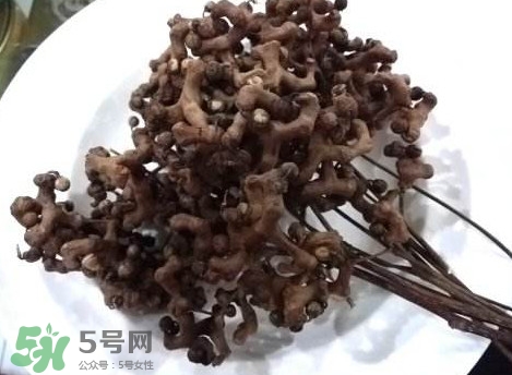 拐棗可以嫁接嗎？拐棗是哪里的特產(chǎn)