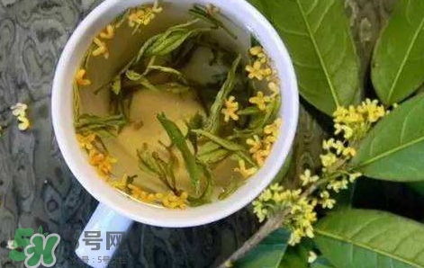 桂花茶怎么泡好喝？桂花茶怎么制作？