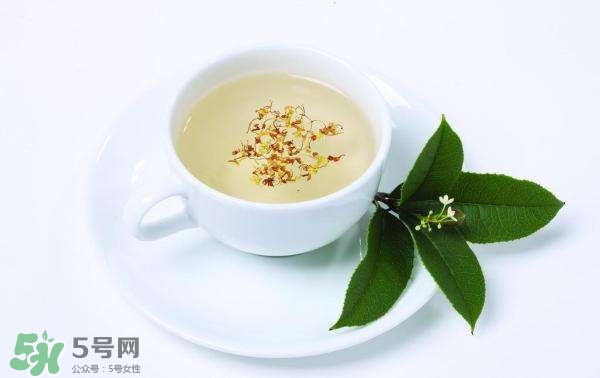 桂花茶怎么泡？桂花茶泡水喝的禁忌 