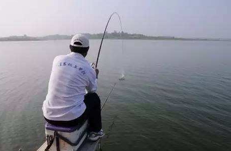 大蒜泡酒能釣魚(yú)嗎？大蒜泡酒釣魚(yú)的方法