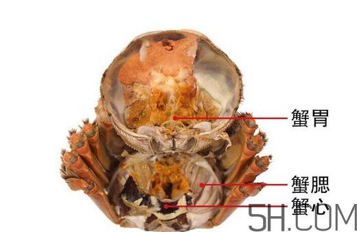 蟹胃能吃嗎?蟹胃吃了會(huì)怎樣?