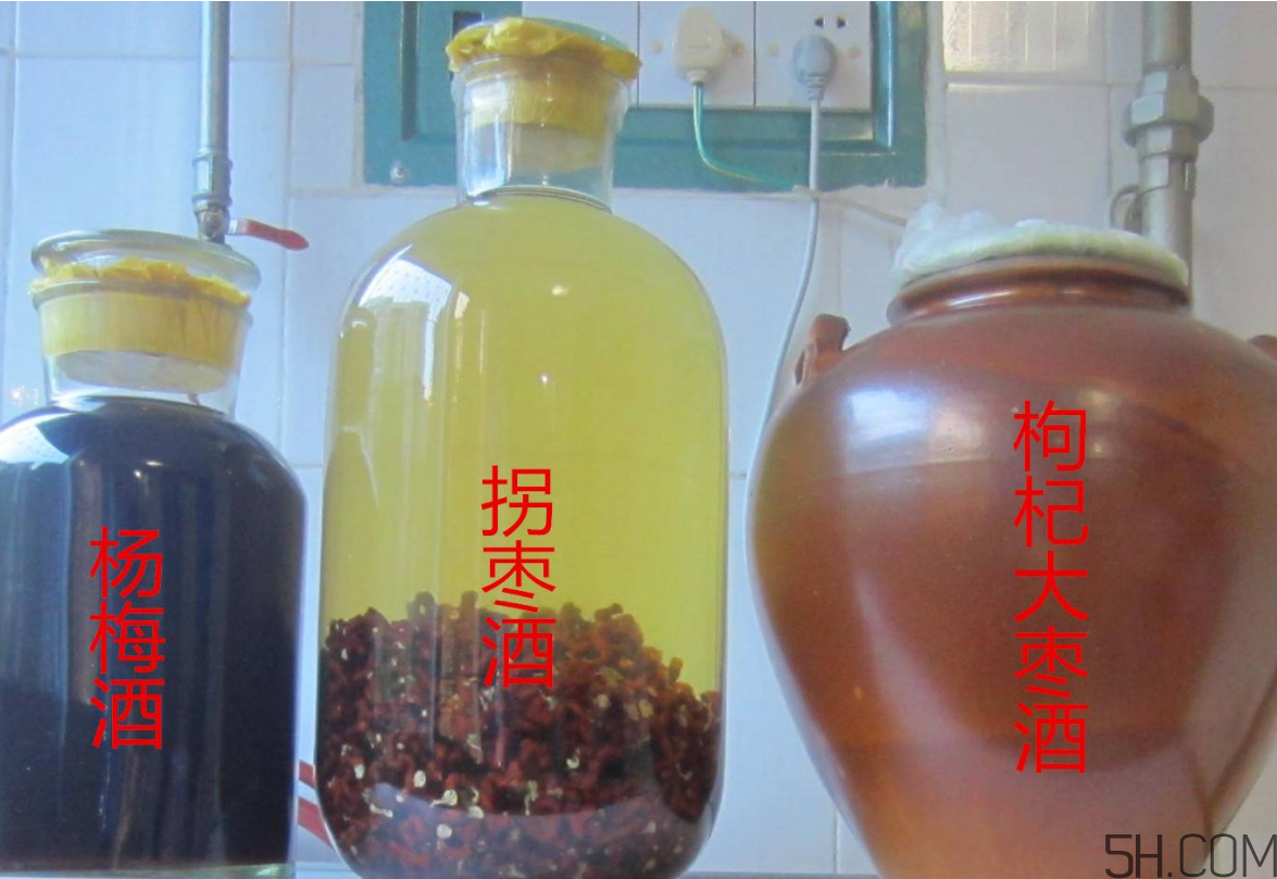 拐棗能泡酒嗎？拐棗能和蜂糖一起泡酒嗎？