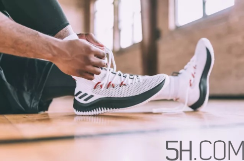 adidas dame 4多少錢？阿迪達斯利拉德四代上腳效果