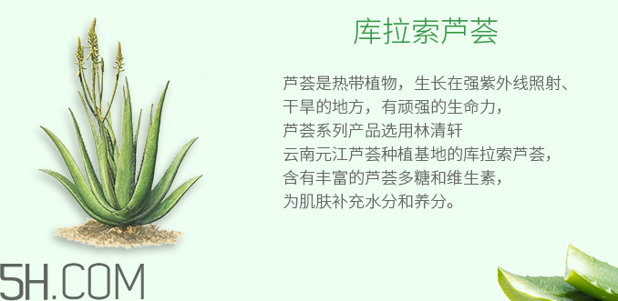 林清軒蘆薈面膜泥怎么樣？林清軒蘆薈面膜泥測(cè)評(píng)