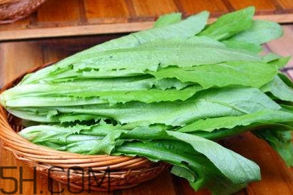 西紅柿和油麥菜能一起吃嗎？油麥菜能包餃子嗎