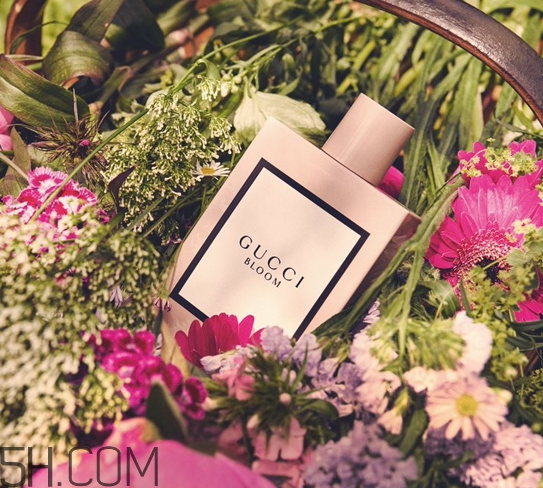 gucci bloom香水好聞嗎？gucci bloom香水香評