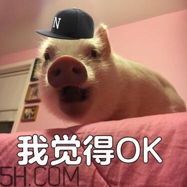 ojbk是什么意思？ojbk表情包