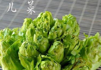 青菜頭是不是兒菜？大頭菜和兒菜的區(qū)別