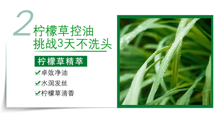 歐萊雅茶樹植萃去屑凈油洗發(fā)露