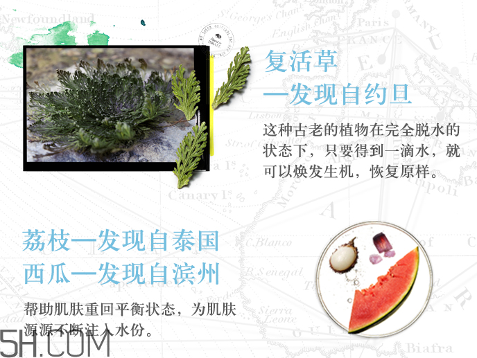 悅木之源復(fù)活草水潤(rùn)修護(hù)精華水