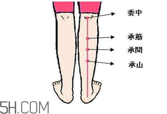 小腿抽筋可以跑步嗎？小腿抽筋可以拔火罐嗎