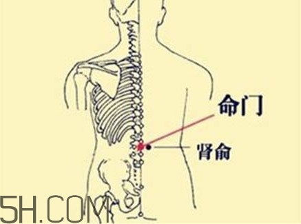 小腿抽筋可以跑步嗎？小腿抽筋可以拔火罐嗎