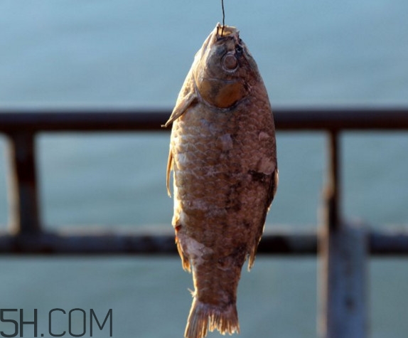 咸魚什么人不能吃？怎樣去除咸魚的咸