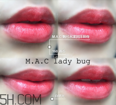 mac ladybug是什么色 mac ladybug適合黃皮嗎